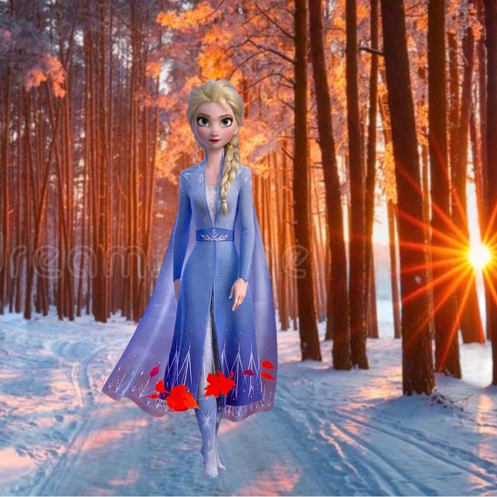 Disney's FROZEN II Elsa Fashion Doll 12" Hasbro